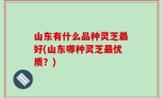 山东有什么品种灵芝最好(山东哪种灵芝最优质？)