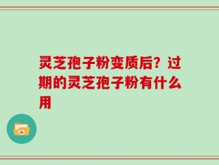 灵芝孢子粉变质后？过期的灵芝孢子粉有什么用