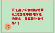 灵芝孢子粉和附桂地黄丸(灵芝孢子粉与附桂地黄丸：果真是补身佳品！)