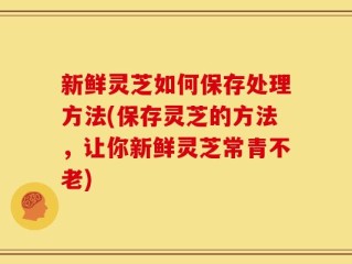 新鲜灵芝如何保存处理方法(保存灵芝的方法，让你新鲜灵芝常青不老)