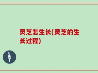 灵芝怎生长(灵芝的生长过程)
