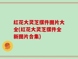 红花大灵芝摆件图片大全(红花大灵芝摆件全新图片合集)