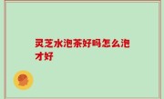 灵芝水泡茶好吗怎么泡才好