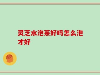 灵芝水泡茶好吗怎么泡才好