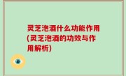 灵芝泡酒什么功能作用(灵芝泡酒的功效与作用解析)