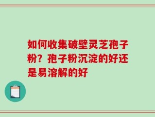 如何收集破壁灵芝孢子粉？孢子粉沉淀的好还是易溶解的好
