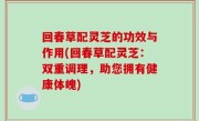 回春草配灵芝的功效与作用(回春草配灵芝：双重调理，助您拥有健康体魄)