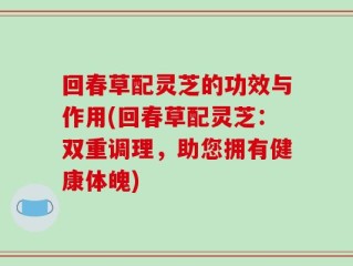 回春草配灵芝的功效与作用(回春草配灵芝：双重调理，助您拥有健康体魄)