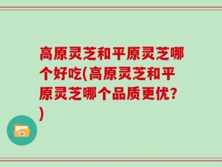 高原灵芝和平原灵芝哪个好吃(高原灵芝和平原灵芝哪个品质更优？)