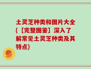 土灵芝种类和图片大全(【完整图鉴】深入了解常见土灵芝种类及其特点)