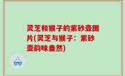 灵芝和猴子的紫砂壶图片(灵芝与猴子：紫砂壶韵味盎然)