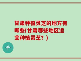 甘肃种植灵芝的地方有哪些(甘肃哪些地区适宜种植灵芝？)