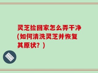 灵芝捡回家怎么弄干净(如何清洗灵芝并恢复其原状？)