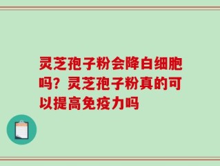 灵芝孢子粉会降白细胞吗？灵芝孢子粉真的可以提高免疫力吗
