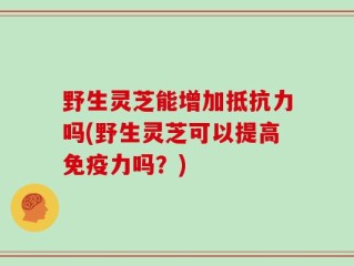 野生灵芝能增加抵抗力吗(野生灵芝可以提高免疫力吗？)