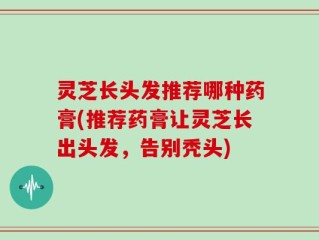 灵芝长头发推荐哪种药膏(推荐药膏让灵芝长出头发，告别秃头)