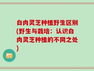 白肉灵芝种植野生区别(野生与栽培：认识白肉灵芝种植的不同之处)