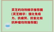 灵芝的功效精华推荐图(灵芝精华：强化免疫力、抗疲劳、抗氧化和抗肿瘤功效推荐图)