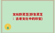 文玩野灵芝(野生灵芝：古老文化中的珍宝)