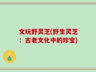 文玩野灵芝(野生灵芝：古老文化中的珍宝)