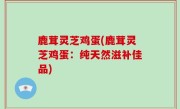 鹿茸灵芝鸡蛋(鹿茸灵芝鸡蛋：纯天然滋补佳品)