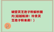 破壁灵芝孢子粉解析图片(超越瓶颈！珍贵灵芝孢子粉来袭！)