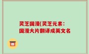 灵芝国漫(灵芝元素：国漫大片翻译成英文名