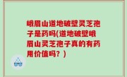 峨眉山道地破壁灵芝孢子是药吗(道地破壁峨眉山灵芝孢子真的有药用价值吗？)