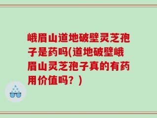 峨眉山道地破壁灵芝孢子是药吗(道地破壁峨眉山灵芝孢子真的有药用价值吗？)