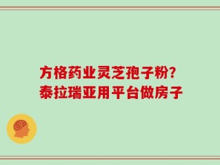 方格药业灵芝孢子粉？泰拉瑞亚用平台做房子
