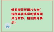 俄罗斯灵芝图片大全(探秘丰富多彩的俄罗斯灵芝世界，精选图片展示)