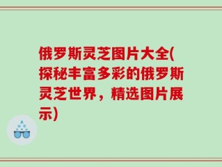 俄罗斯灵芝图片大全(探秘丰富多彩的俄罗斯灵芝世界，精选图片展示)