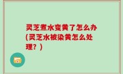 灵芝煮水变黄了怎么办(灵芝水被染黄怎么处理？)