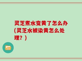 灵芝煮水变黄了怎么办(灵芝水被染黄怎么处理？)
