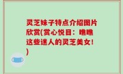 灵芝妹子特点介绍图片欣赏(赏心悦目：瞧瞧这些迷人的灵芝美女！)
