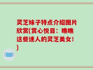 灵芝妹子特点介绍图片欣赏(赏心悦目：瞧瞧这些迷人的灵芝美女！)