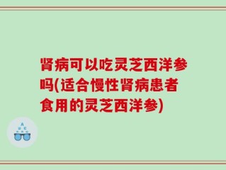 肾病可以吃灵芝西洋参吗(适合慢性肾病患者食用的灵芝西洋参)