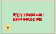 灵芝孢子粉能喝米汤？苔藓孢子粉怎么种植