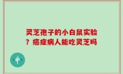 灵芝孢子的小白鼠实验？癌症病人能吃灵芝吗