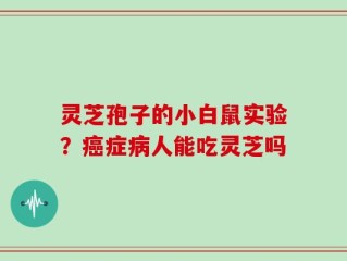 灵芝孢子的小白鼠实验？癌症病人能吃灵芝吗