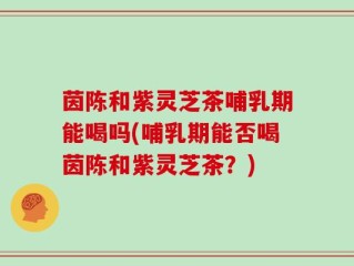 茵陈和紫灵芝茶哺乳期能喝吗(哺乳期能否喝茵陈和紫灵芝茶？)