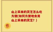 山上采来的灵芝怎么吃方便(如何方便地食用山上采来的灵芝？)