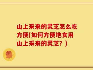 山上采来的灵芝怎么吃方便(如何方便地食用山上采来的灵芝？)
