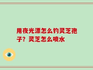 用夜光漂怎么钓灵芝孢子？灵芝怎么喷水