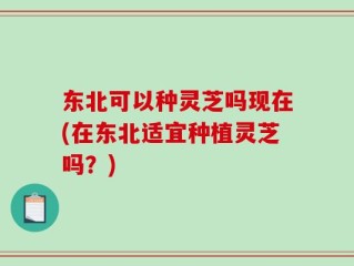 东北可以种灵芝吗现在(在东北适宜种植灵芝吗？)