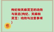 枸杞和天麻灵芝的功效与禁忌(枸杞、天麻和灵芝：功效与注意事项)