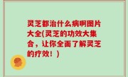 灵芝都治什么病啊图片大全(灵芝的功效大集合，让你全面了解灵芝的疗效！)