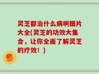 灵芝都治什么病啊图片大全(灵芝的功效大集合，让你全面了解灵芝的疗效！)