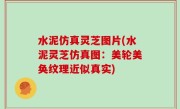 水泥仿真灵芝图片(水泥灵芝仿真图：美轮美奂纹理近似真实)