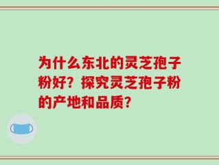 为什么东北的灵芝孢子粉好？探究灵芝孢子粉的产地和品质？
